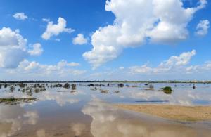 Paralimni Lake